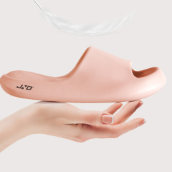 Flip Flop The adventure begins